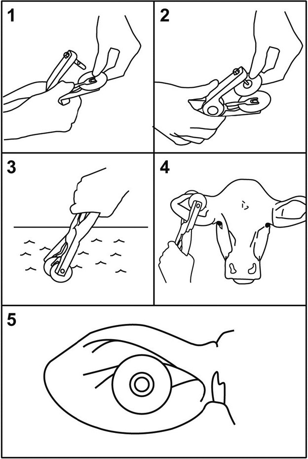 Как установить ушную бирку животному