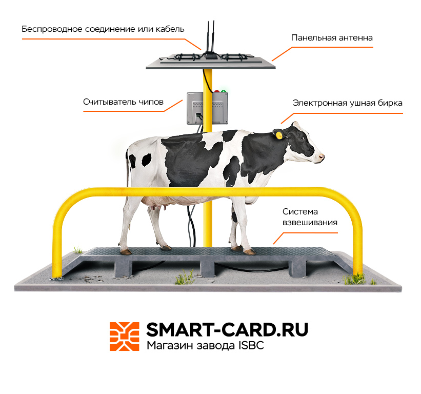 Панельная RFID-антенна VETTAG для считывателя чипов животных в системе взвешивания Gallagher