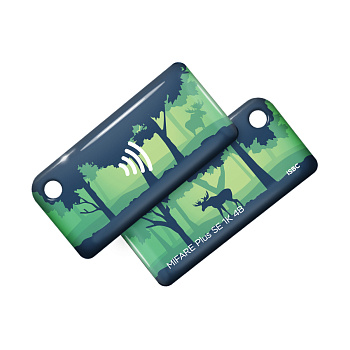 Брелок ISBC MIFARE Plus SE 1K 4B "Векторные пейзажи"