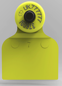 Ушная электронная метка F5S HDX