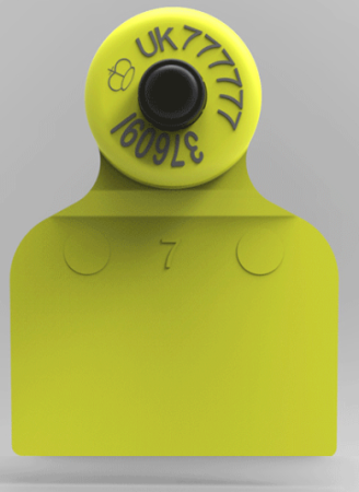 F5S HDX ушная бирка электронная Felixcan – купить